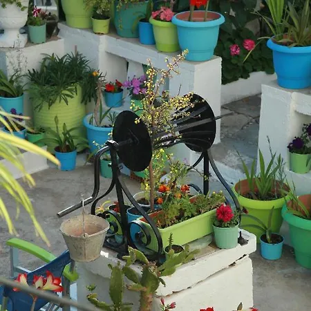 Guest house Villa Marina 2*